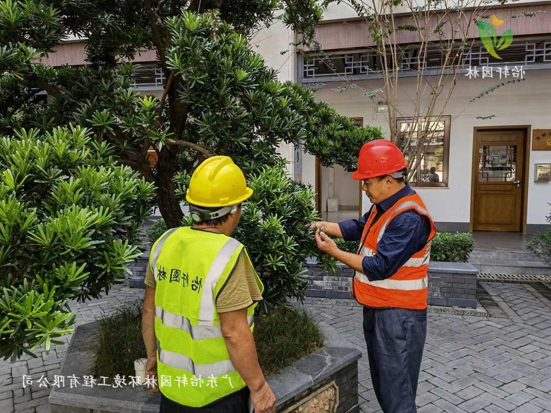 欢迎访问十大电子网址厂区绿化养护指导工作